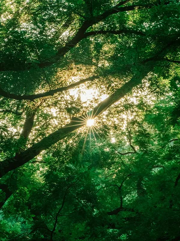 Accelerate Circularity